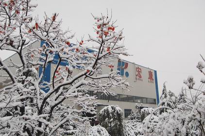 山東宏康機(jī)床：雪景一角.jpg